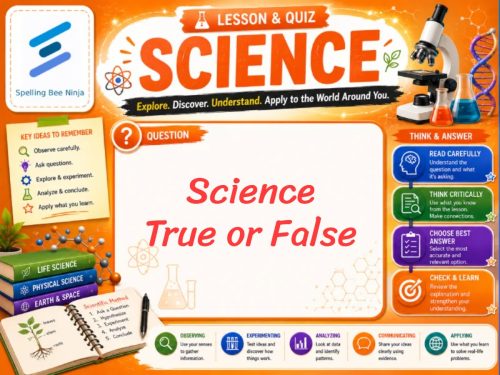 Science True or False Lesson and Quiz