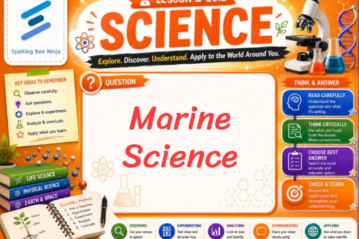 🎓 Marine Science: Interactive Lesson on Ocean Systems