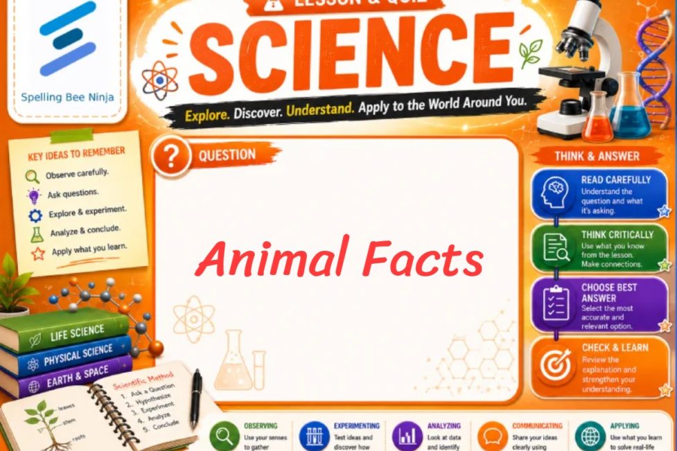 Animal Facts Lesson and Quiz