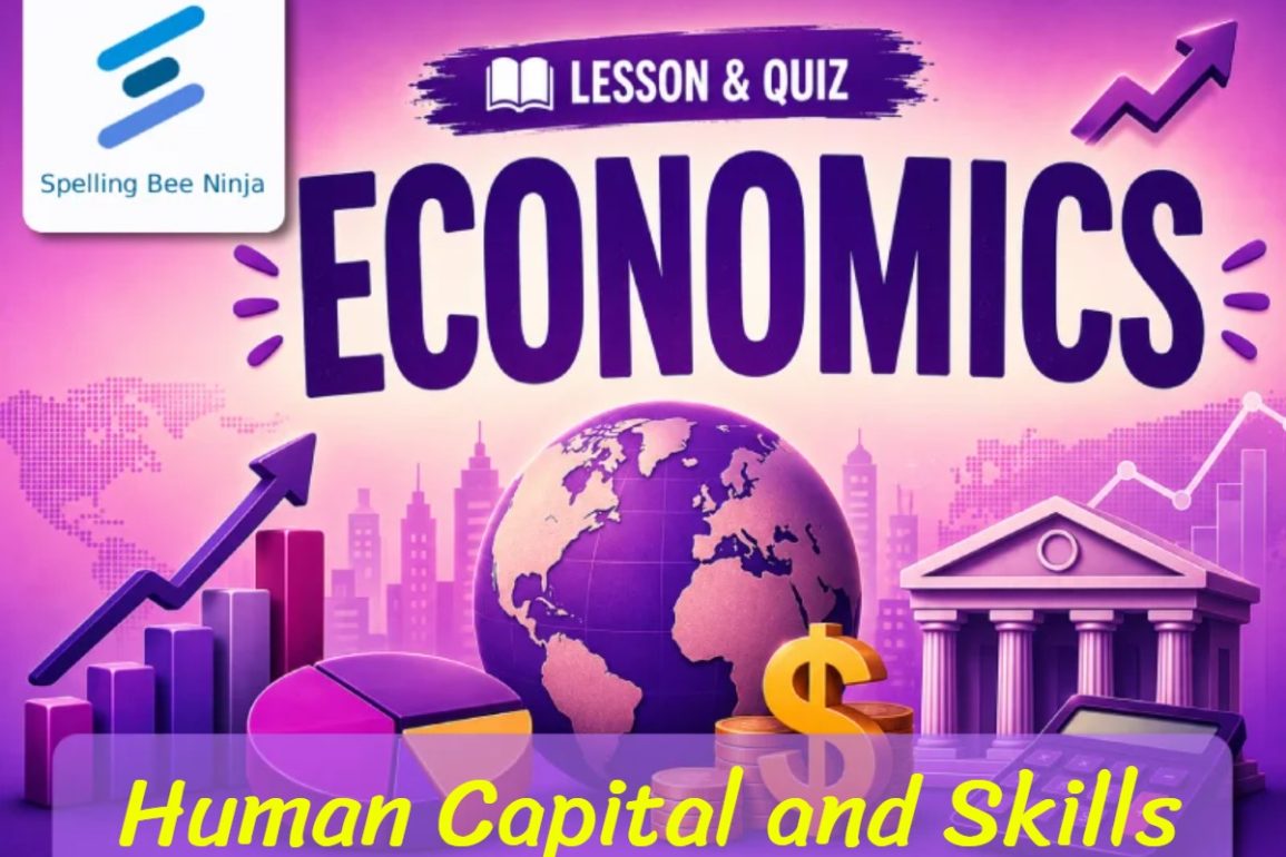 🎓 Human Capital and Skills: Interactive Lesson on Investing in Yourself