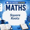 Square Roots Lesson: Understanding Squares and Roots