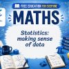 Statistics Lesson: Understanding Data and Information