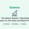 🎓 Circulatory System: Interactive Lesson on the Heart and Blood Flow