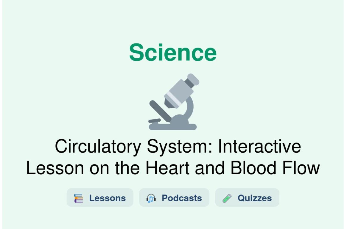 🎓 Circulatory System: Interactive Lesson on the Heart and Blood Flow