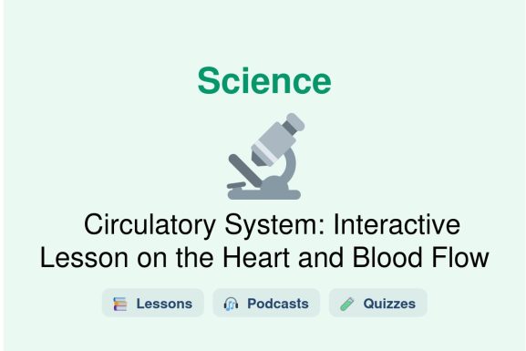 🎓 Circulatory System: Interactive Lesson on the Heart and Blood Flow