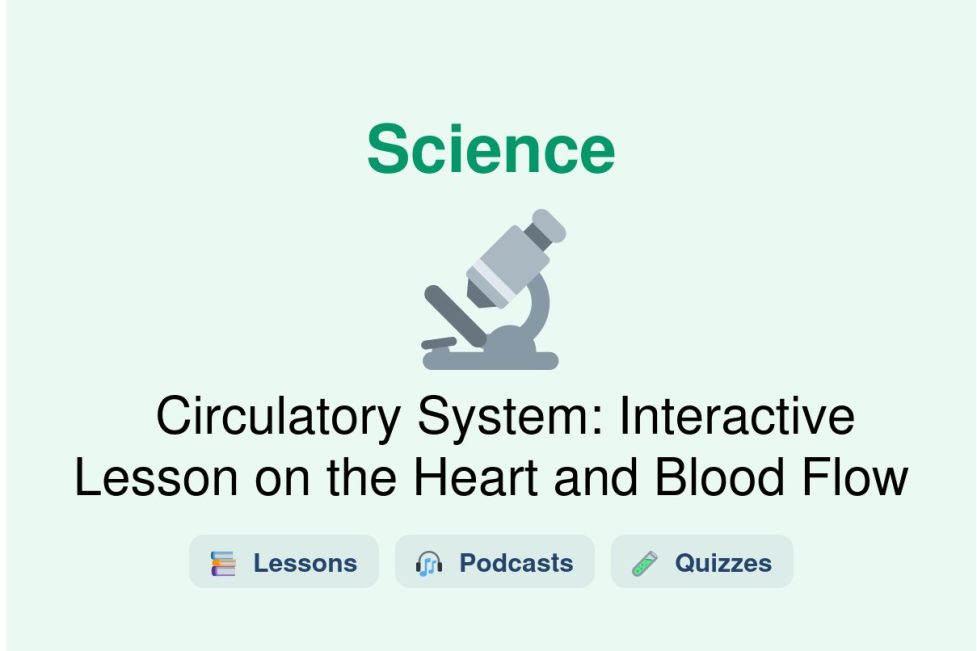 🎓 Circulatory System: Interactive Lesson on the Heart and Blood Flow