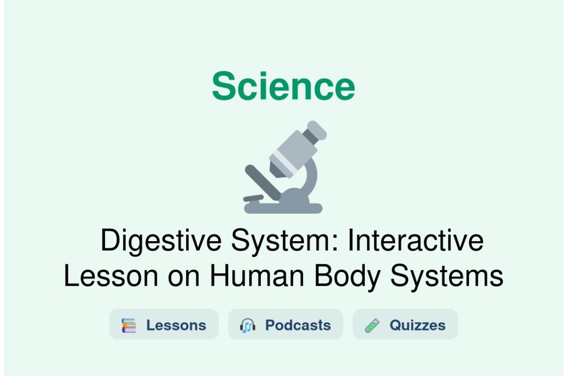 🎓 Digestive System: Interactive Lesson on Human Body Systems