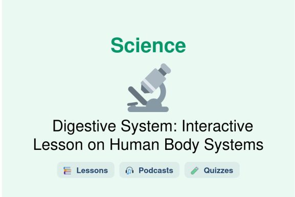 🎓 Digestive System: Interactive Lesson on Human Body Systems