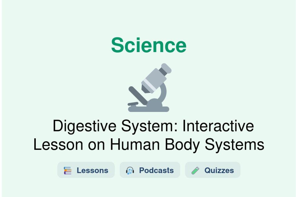🎓 Digestive System: Interactive Lesson on Human Body Systems