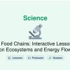 🎓 Food Chains: Interactive Lesson on Ecosystems and Energy Flow