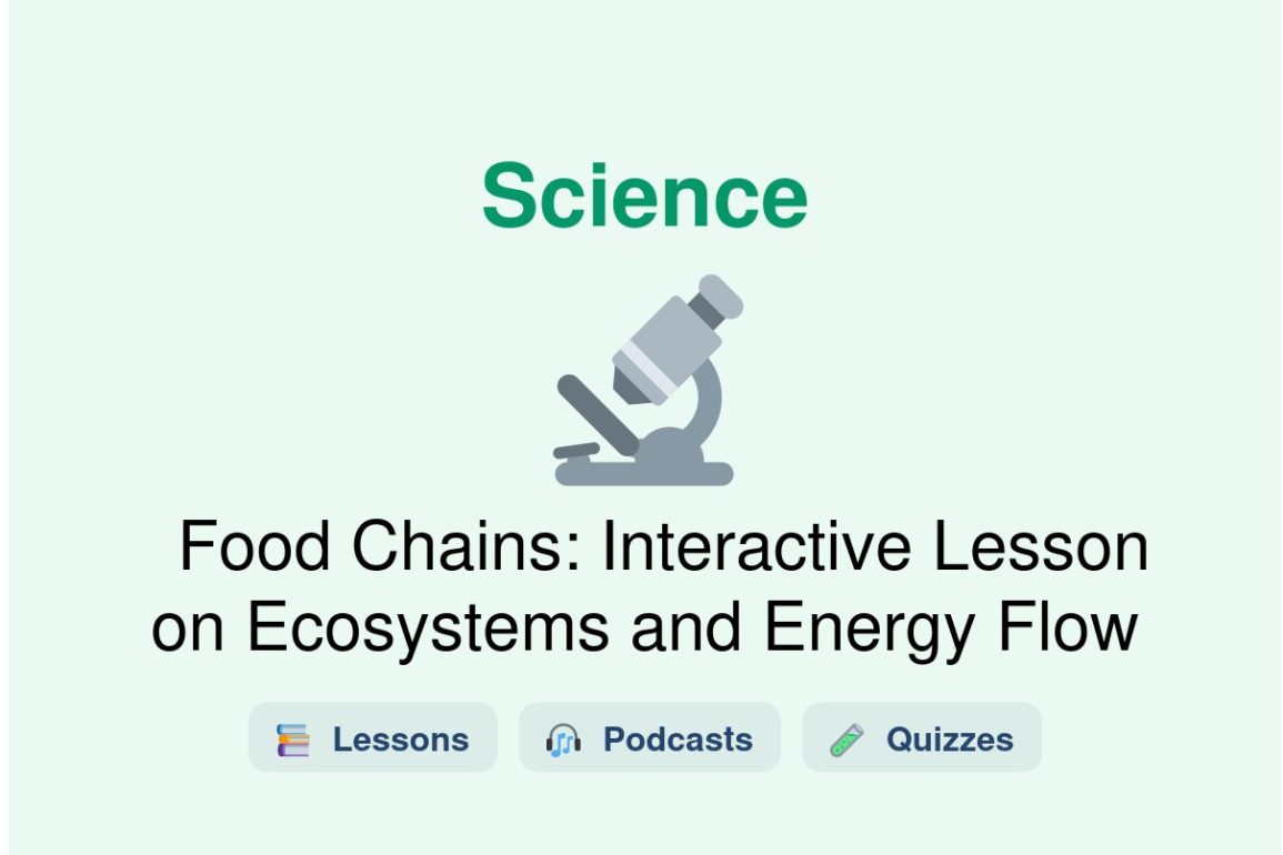 🎓 Food Chains: Interactive Lesson on Ecosystems and Energy Flow