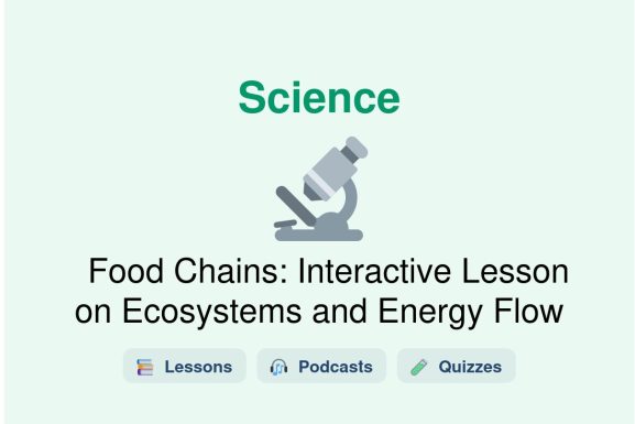 🎓 Food Chains: Interactive Lesson on Ecosystems and Energy Flow