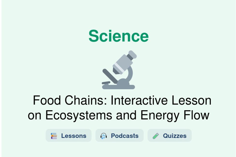 🎓 Food Chains: Interactive Lesson on Ecosystems and Energy Flow