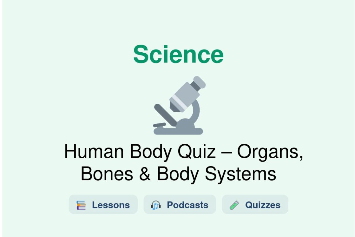 🎓 Human Body Quiz – Organs, Bones & Body Systems