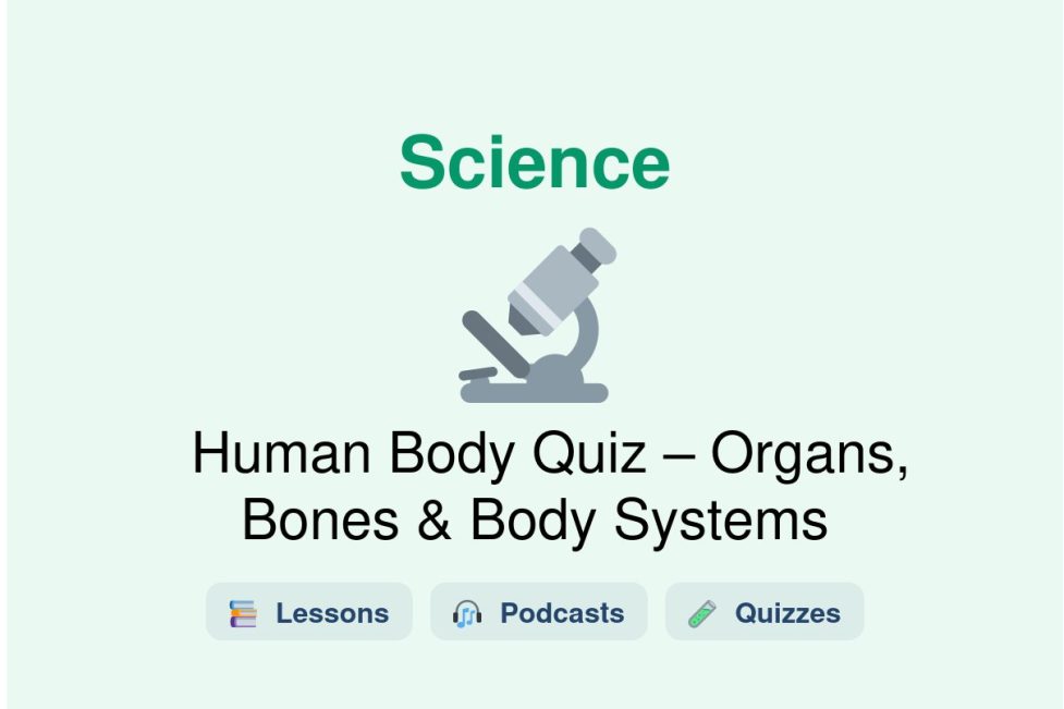 🎓 Human Body Quiz – Organs, Bones & Body Systems