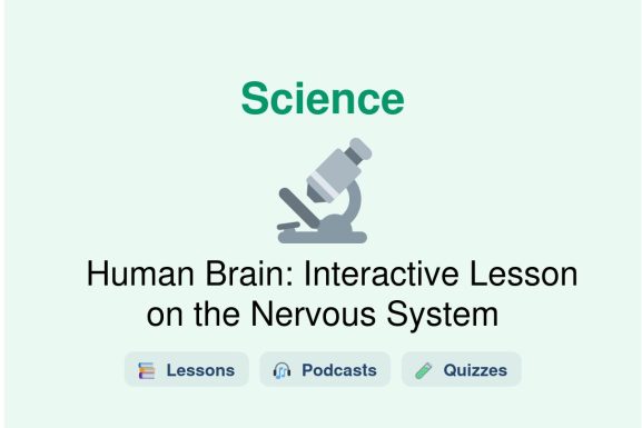 🎓 Human Brain: Interactive Lesson on the Nervous System