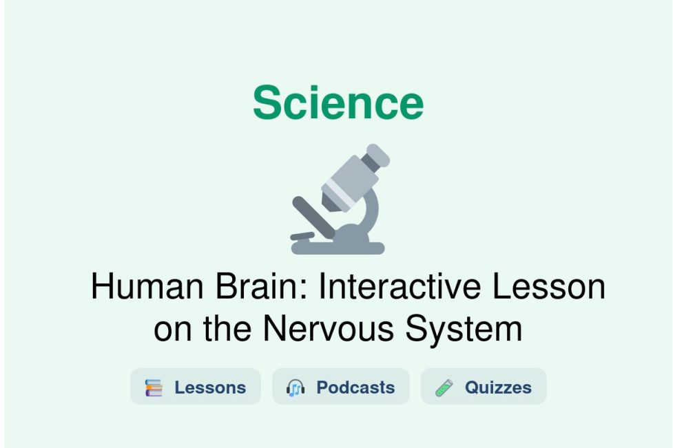 🎓 Human Brain: Interactive Lesson on the Nervous System