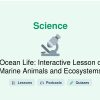 🎓 Ocean Life: Interactive Lesson on Marine Animals and Ecosystems
