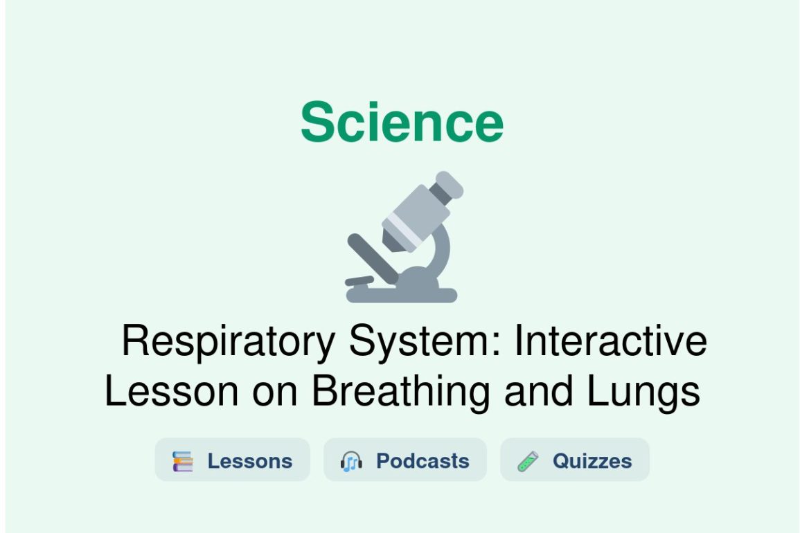 🎓 Respiratory System: Interactive Lesson on Breathing and Lungs