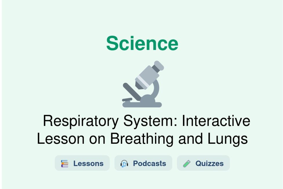 🎓 Respiratory System: Interactive Lesson on Breathing and Lungs